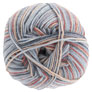Regia 4-Ply Color - 6029 - Vermont Granite Yarn photo