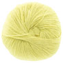 Regia Premium Bamboo Yarn - 020 - Yellow Green