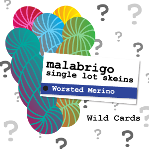 Malabrigo Single Lot Worsted Merino Color Packs Kits - Wild Card