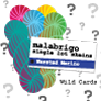 Malabrigo Single Lot Worsted Merino Color Packs Kits