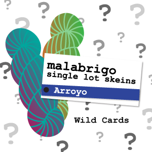 Malabrigo Single Lot Arroyo Duets - Wild Card