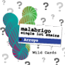 Malabrigo Single Lot Arroyo Duets - Wild Card Kits photo