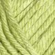 Muench Family - 5715 Lime Yarn photo