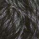 Brown Sheep Wildfoote - 39 Master Grey Yarn photo