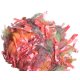 Trendsetter Bouquet - 1525 Fruit Salad Yarn photo