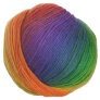 Crystal Palace Mochi Plus - 551 Intense Rainbow Yarn photo