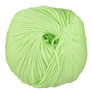 Cascade 220 Superwash Yarn - 0850 Lime Sherbert