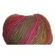 Crystal Palace Mochi Plus - 556 Strawberry-Lime Rainbow (Discontinued) Yarn photo