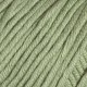 Debbie Bliss Eco Baby - 07 Moss Green (Discontinued) Yarn photo