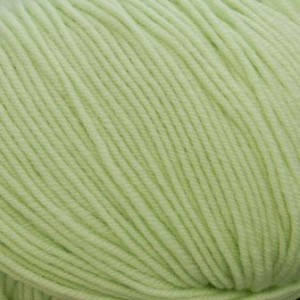 Zitron Lifestyle Yarn - 42 Baby Green