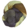 Lorna's Laces Shepherd Sock - Montrose Yarn photo
