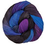 Lorna's Laces Shepherd Sock - Blueberry Snowcone Yarn photo