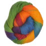Lorna's Laces Shepherd Sock - Rainbow Yarn photo