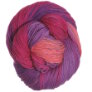 Lorna's Laces Shepherd Sock - Iris Garden Yarn photo