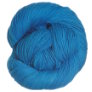 Lorna's Laces Shepherd Sock - Island Blue Yarn photo