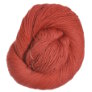 Lorna's Laces Shepherd Sock - Poppy Yarn photo