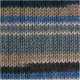 Schachenmayr Regia 4-Ply Color Yarn - 4739 - Classic