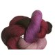 Lorna's Laces Shepherd Sock - Pilsen Yarn photo
