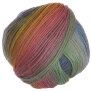 Crystal Palace Mochi Plus - 608 Rainbow Trout Yarn photo