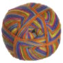 Berroco Sox - 1410 Lollipop Yarn photo