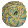Berroco Sox - 1411 Sprinkles Yarn photo