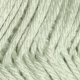 Cascade Pacific - 14 - Celadon (Discontinued) Yarn photo