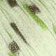 Lana Grossa Coccinella - 17 Kiwi Yarn photo