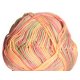 Schoeller Stahl Pantino Color Yarn