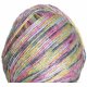 Crystal Palace Moonshine - 3214 Rainbow Trout Yarn photo