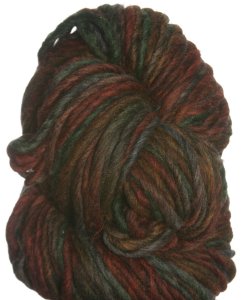 Brown Sheep Burlyspun Hand Paint Yarn - 350 Bountiful Harvest