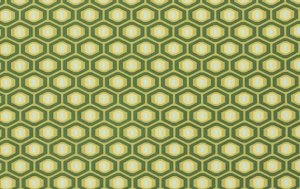 Amy Butler Midwest Modern Fabric - Honeycomb - Forest