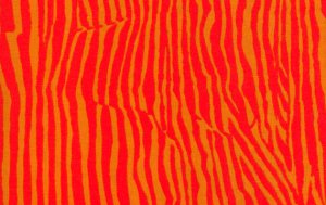 Brandon Mably Wrinkle Fabric - Red