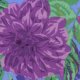 Philip Jacobs Pom Pom Dahlias - Purple Fabric photo