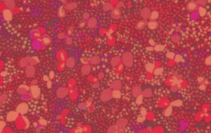 Brandon Mably Clover Dots Fabric - Red