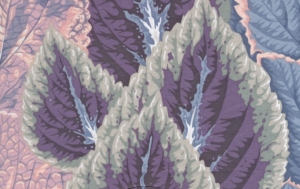 Philip Jacobs Begonia Columns Fabric - Grey