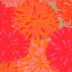 Valori Wells Wrenly Voile - Bloom - Mandarin Fabric photo