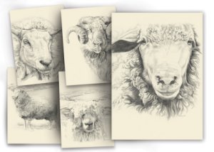 Lantern Moon Greeting Cards - Portrait Sheep Series Greeting Cards