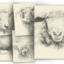 Lantern Moon Greeting Cards - Portrait Sheep Series Greeting Cards Accessories photo