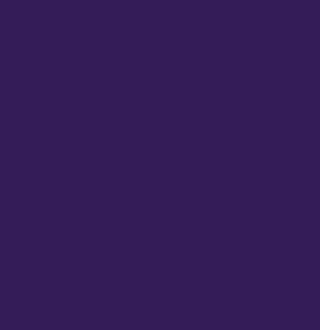 Freespirit Designer Essentials Solid Fabric - Purple