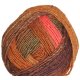 Noro Karuta - 07 Orange, Brown, Olive Yarn photo