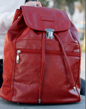 Namaste Boardwalk Backpack - Red