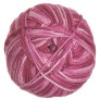 Berroco Comfort - 9810 Nosegay Mix Yarn photo