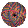 Berroco Comfort - 9836 Finnian's Rainbow Yarn photo