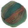 Crystal Palace Mochi Plus - 623 Copper-Turquoise Yarn photo