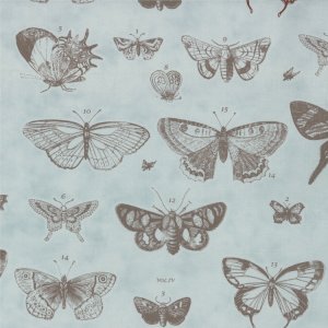 3 Sisters Papillon Fabric - Butterfly Etchings - Aqua  (4070 12)