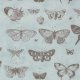 Butterfly Etchings - Aqua