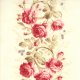 3 Sisters Papillon - Rose Arbor - Ivory (4074 11) Fabric photo