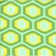 Amy Butler Midwest Modern - Honeycomb - Green Fabric photo
