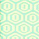 Amy Butler Midwest Modern - Honeycomb - Aqua Fabric photo