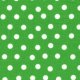 Berenstain Bears Welcome to Bear Country - Mama's Dots - Green (55506 26) Fabric photo